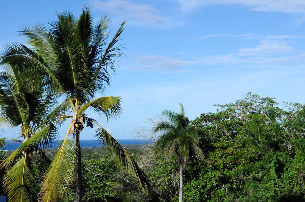 B&B El Mirador Al Mar Sosua Luaran gambar